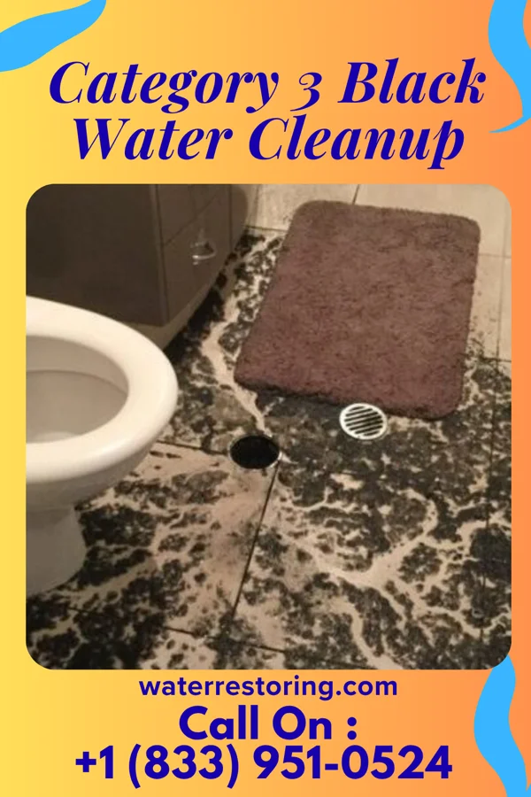 Category 3 Black Water Cleanup in Villa Verde, TX