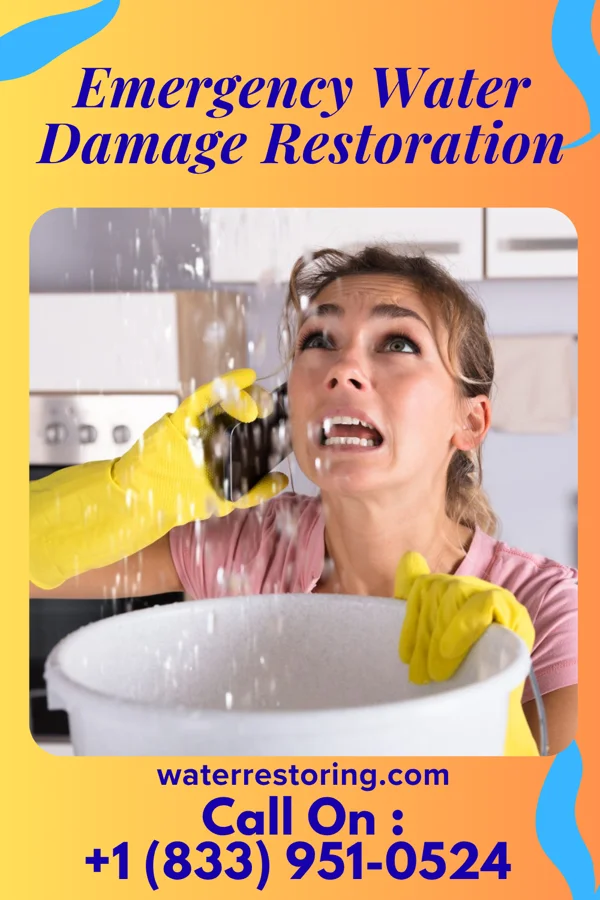 Emergency Water Damage Restoration in Villa Verde, TX