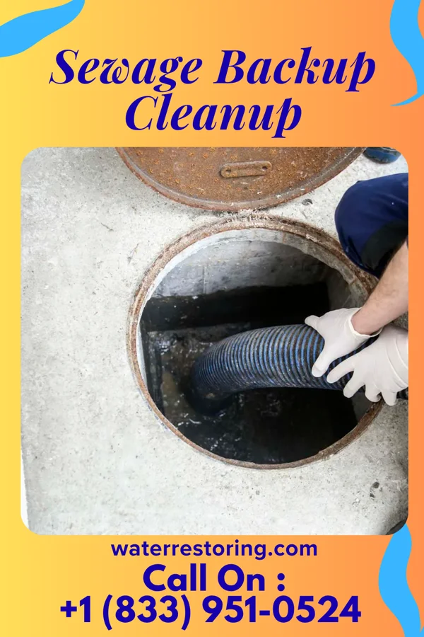 Sewage Backup Cleanup in Villa Verde, TX
